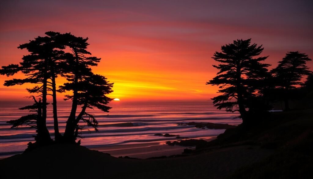 Sunset view of Pacific Grove's coastline with cypress trees and dreamy beach towns not overcrowded by tourists