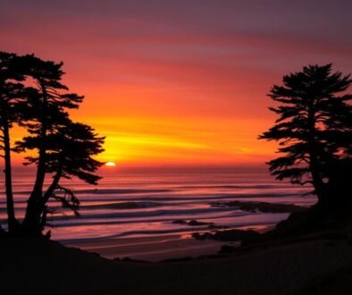 Sunset view of Pacific Grove's coastline with cypress trees and dreamy beach towns not overcrowded by tourists